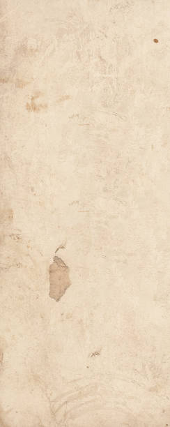 istock Texture old paper with traces of scuffs and stains 1301282977