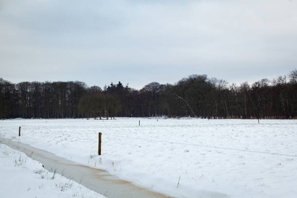 istock Blue skies behind the clouds over distant woods and snowy fields 1301284170