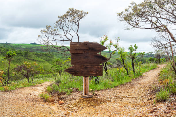 istock Wooden boards on a trail indicating three paths to follow 1301289540