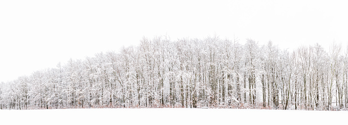 View of a Bavarian winter landscape with lots of snow, blue sky with clouds on a cold winter day, outdoor germany