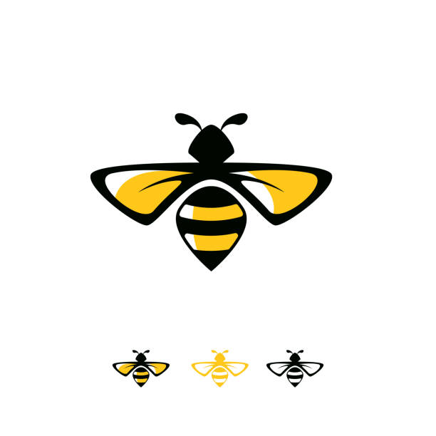 ilustraciones, imágenes clip art, dibujos animados e iconos de stock de logotipo de abeja elegante diseña vector de concepto, concepto de símbolo de logotipo de avispa - abeja