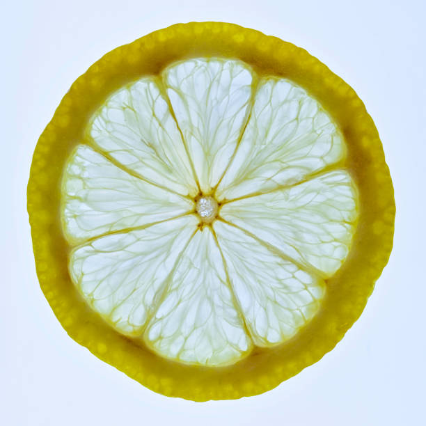 tranche de citron - fruit lightbox lemon portion photos et images de collection