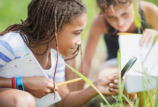 Two multi ethnic elementary school girls are using a magnifying glass outdoors to look closer at the leaves on the ground.