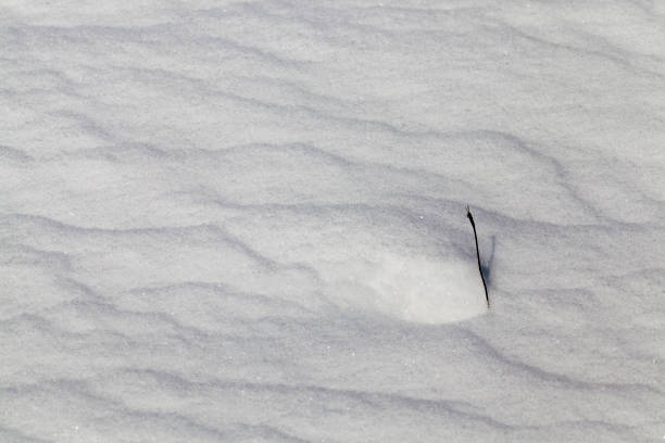 istock snow drifts in winter 1301297599