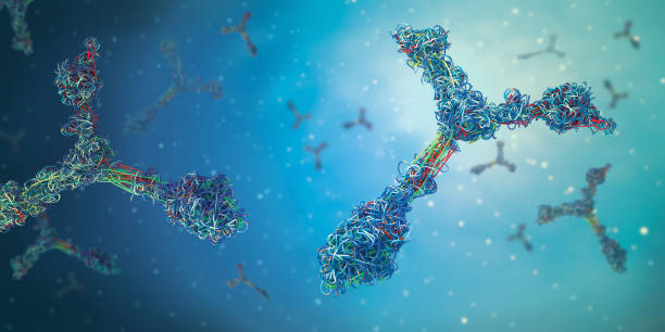 여러 가지 착색 항체 또는 면역 글로불린 단백질 구조 - 3d 삽화 - antibody 뉴스 사진 이미지