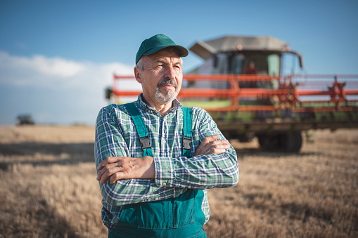 Portrait of a senior farmer standing in front of combine harvester on the wheat field.