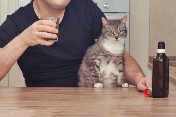 男は猫と台所のテーブルで強いアルコールのボトルと一緒に座ってウイスキーを飲みます.孤独、悲しみ、うつ病でアルコールを飲む問題 - eastern european caucasian one person alcoholism ストックフォトと画像