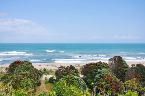 istock Heaphy Track Landscape - Kohaihai Beach 1301310049