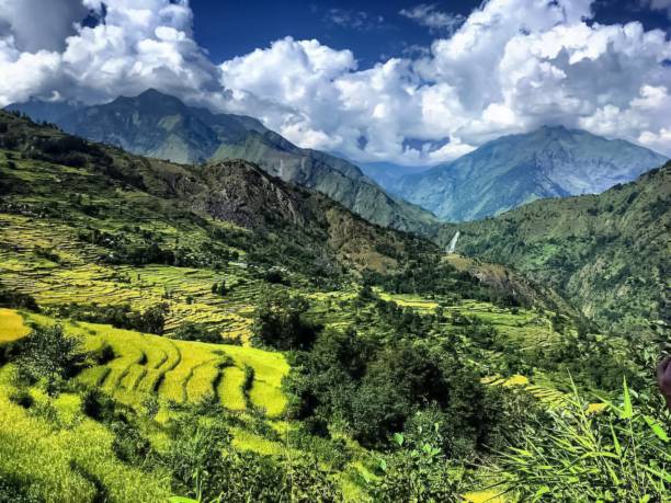istock Dhaulagiri Circuit Trek in Nepal - Green Valley 1301310620