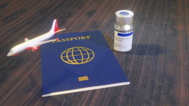 istock Coronavirus COVID-19 Vaccine Immunity passport airplane 1301314329