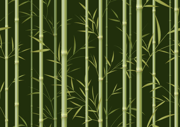 бесшовный зеленый бамбуковый фон - seamless bamboo backgrounds textured stock illustrations