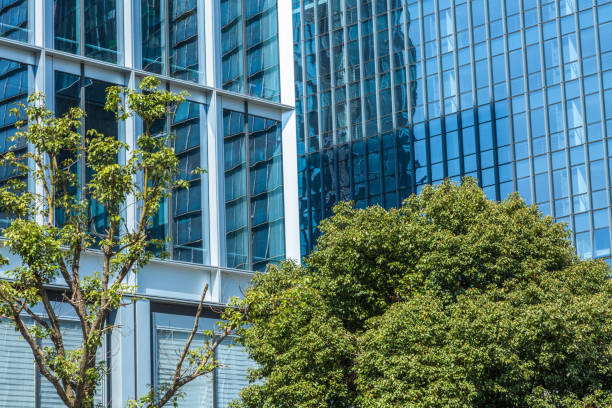 istock Details of a modern office building with a tree 1301316434
