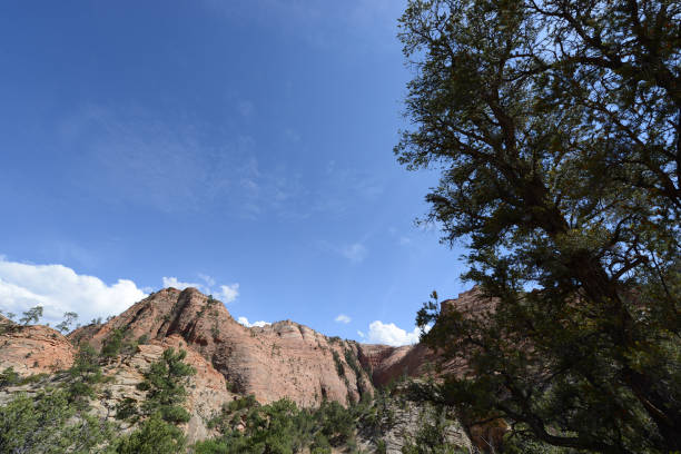 istock Zion National Park 1301317323