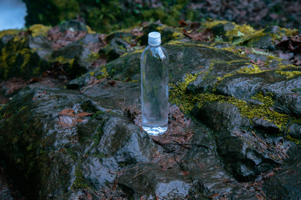 istock Cold Water Bottle Near Flowing River 1301318551