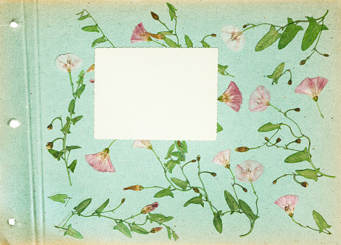 Page from an old photo album. Scrapbooking element decorated with leaves, flowers and petals flowers. For cards, invitations und congratulations. Use in scrapbooking, greetings.