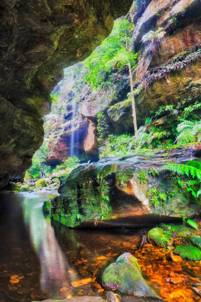 bm gc cave vert ppl chute d’eau - cave fern flowing forest photos et images de collection