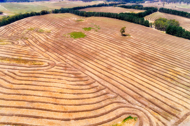 istock D Mayfield agri straw lanes 1301325785