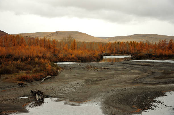 istock A shallow river flowing into a flat valley surrounded by yellowed foliage. 1301325846