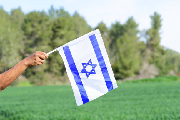 istock Israeli flag, man hand, blue sky, wheat meadow, trees 1301326682