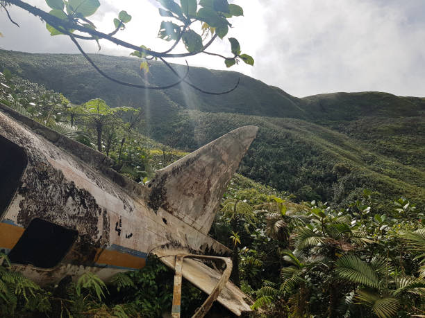 istock Crashed plane in the rainforest, Guadeloupe Island 1301329426