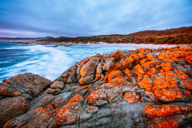 istock Seascape at Friendly Beaches, Freycinet National Park. 1301331502
