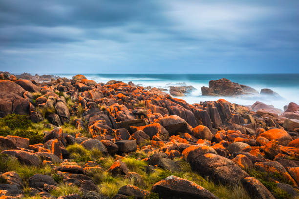 istock A stormy day seascape at Granville Harbour 1301334201