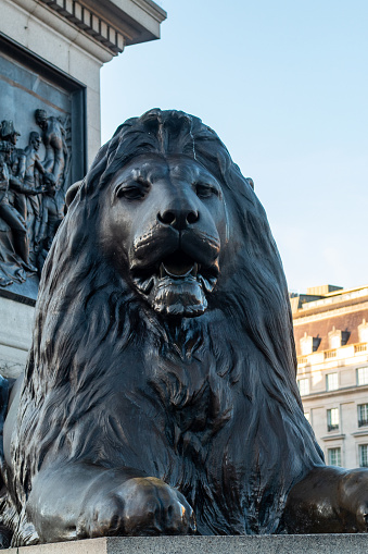 London, United Kingdom - January 18, 2020: Lions of Trafalgar Square