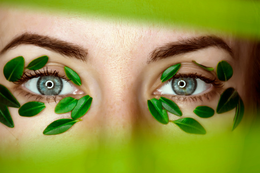 Luxury Portrait of a Beautiful young woman with natural makeup with green boxwood leaves patches, grey background. Spa and wellness.
 Youth, teens and skin care concept. Close up