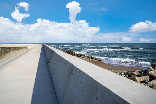 Seawall embankment infrastructure disaster prevention disaster mitigation