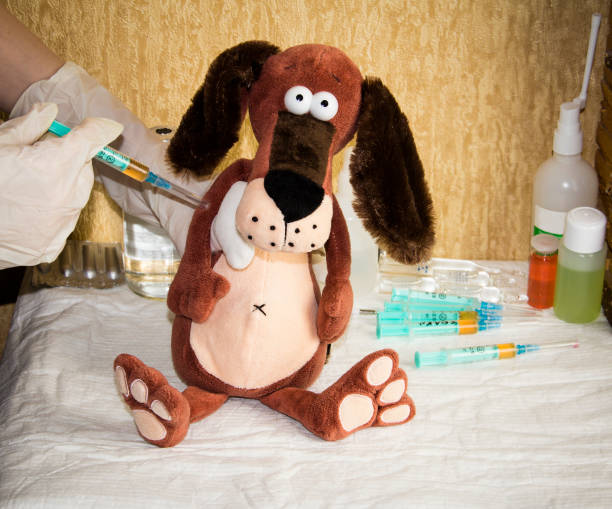 istock A toy dog is injected. Doctor game. 1301339559