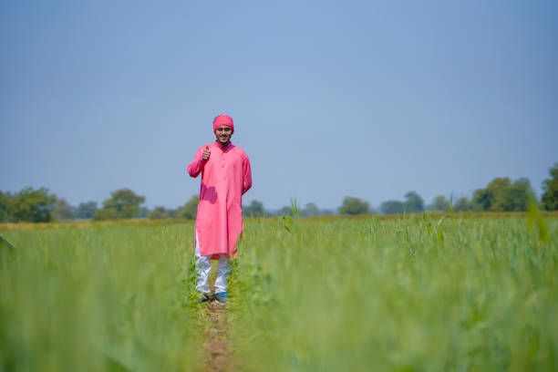 Young indian farmer standing his wheat field and giving happy expression