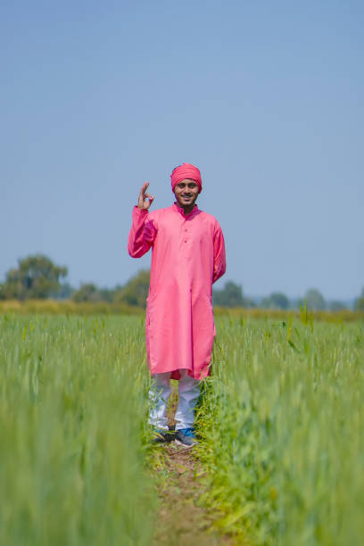 istock Young indian farmer standing his wheat field and giving happy expression 1301340634