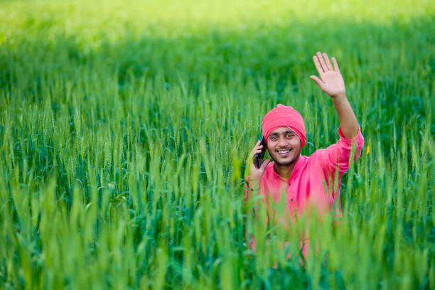 Young indian farmer talking on smartphone at wheat field