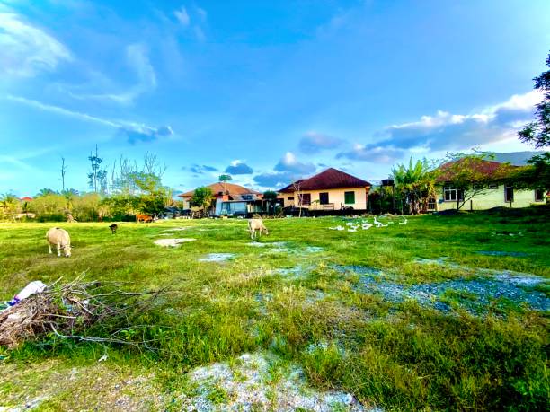 istock Wide angle photo of a field 1301343050