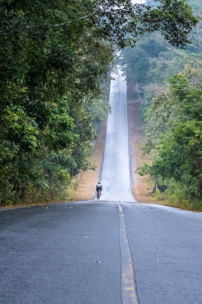 istock Road on National park 1301345142