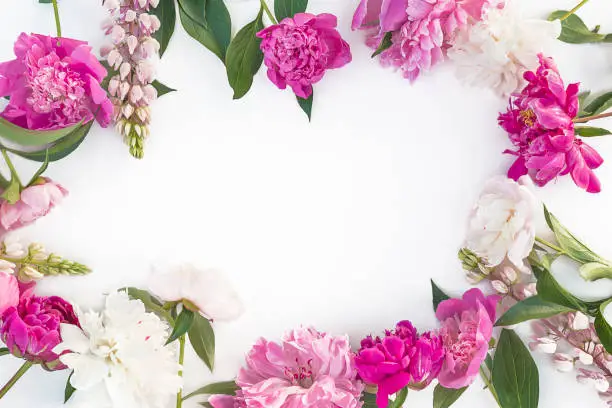 Photo of Beautiful floral frame of pruple, pink and white peonies and lupines on white background.