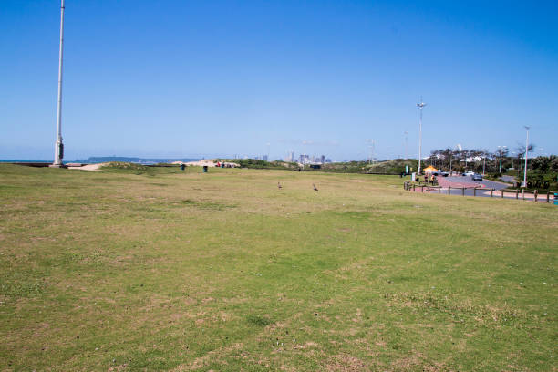 istock Open Stretch of Grass Leading onto Beach, Durban 1301350884