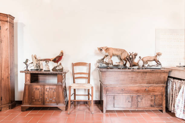 stuffed animals in an ancient house stock photo