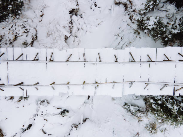 istock overhead top view of snowed bridge in the forest 1301351800
