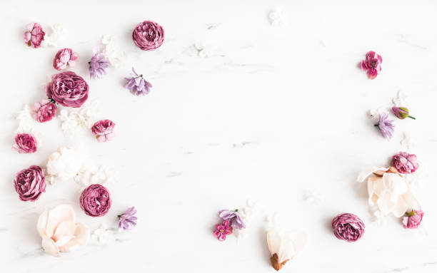 istock Flowers composition. White and purple flowers on marble background. Flat lay, top view 1301354013