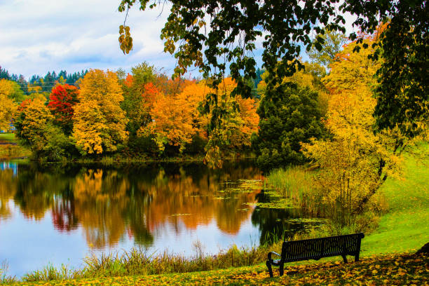 istock A single Bench over looking a beautiful fall scene at a lake 1301358274