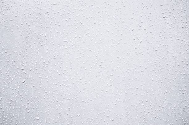 Grey white coloured backgrounds with frosty dew drops pattern all over A grayish white coloured background with frosty water drops all over. Textured look backdrop as if rain drops sticking to a wall. There is ample copy space for text, No Text and No people. condensation stock pictures, royalty-free photos & images
