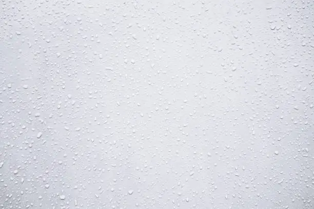 A grayish white coloured background with frosty water drops all over. Textured look backdrop as if rain drops sticking to a wall. There is ample copy space for text, No Text and No people.