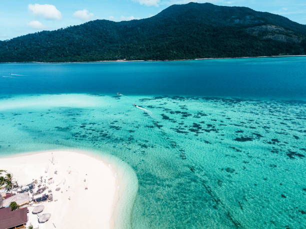 istock A beach on a clear blue tropical island 1301364439