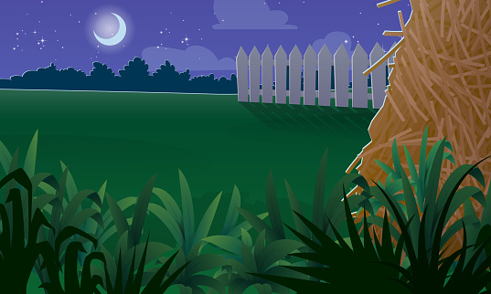 Cartoon Backyard Background At Night Wooden Fence Green Garden With Grass  And Hay Runoff Forest In The Distance Vector Illustration Stock  Illustration - Download Image Now - iStock