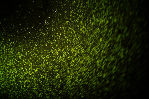 istock Sparkle Background , Gold Sparkle Background , Gold Black Background Wallpaper 1301365427