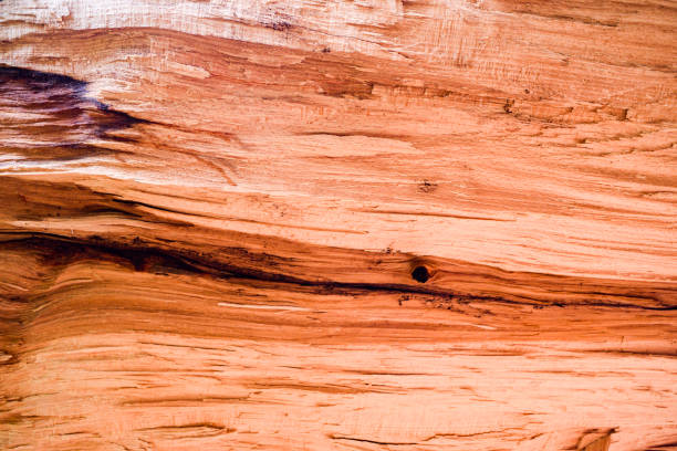 istock Raw hardwood texture. Raw hardwood texture. 1301365612
