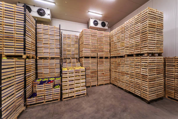 istock Fruits in crates ready for shipping. Cold storage interior. 1301366886
