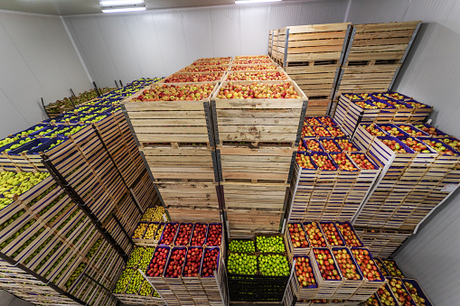 Fruits in crates ready for shipping. Cold storage interior.