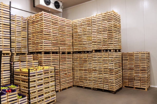 istock Fruits in crates ready for shipping. Cold storage interior. 1301367794